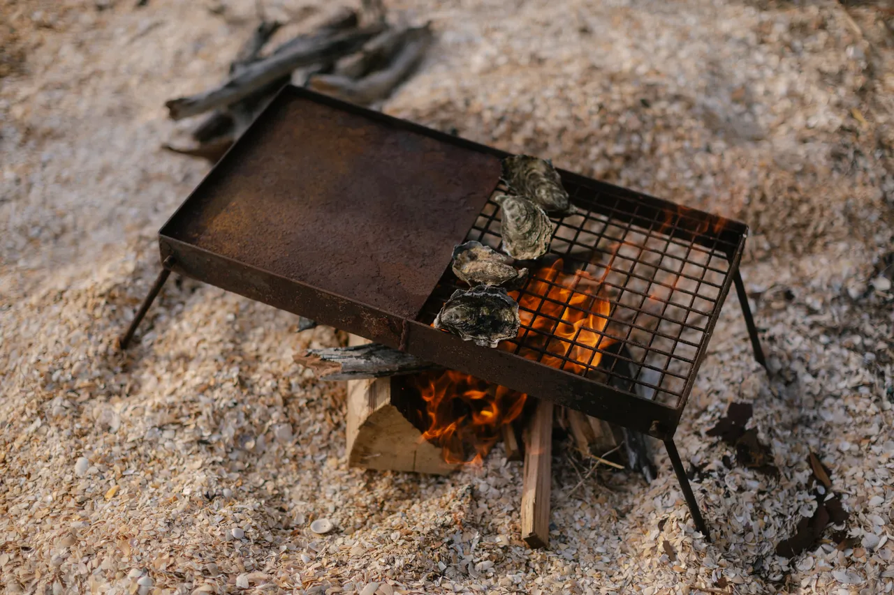 Cooking Oysters on a Campfire