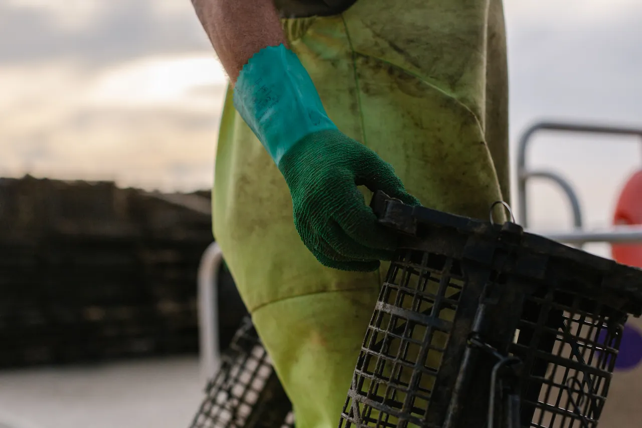 Oyster Divers