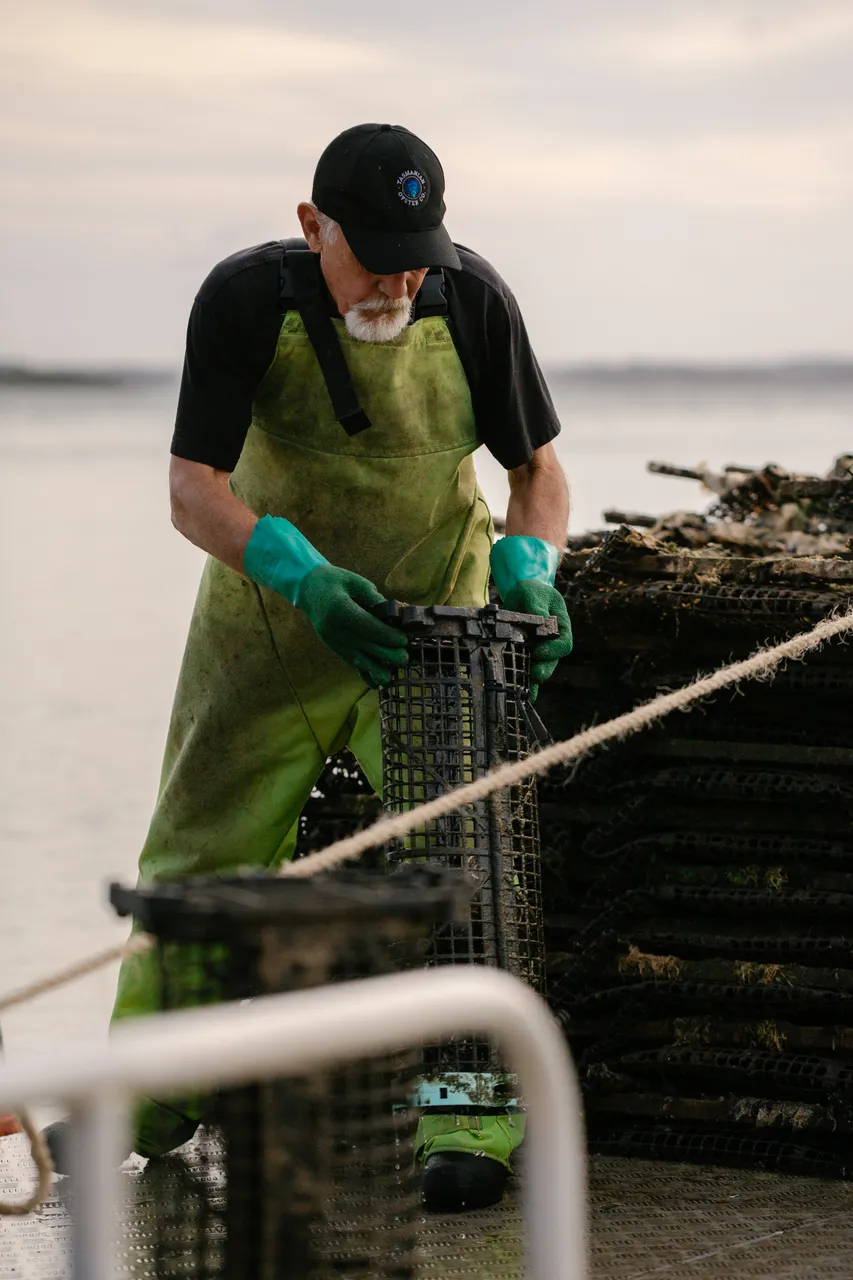 Oyster Divers