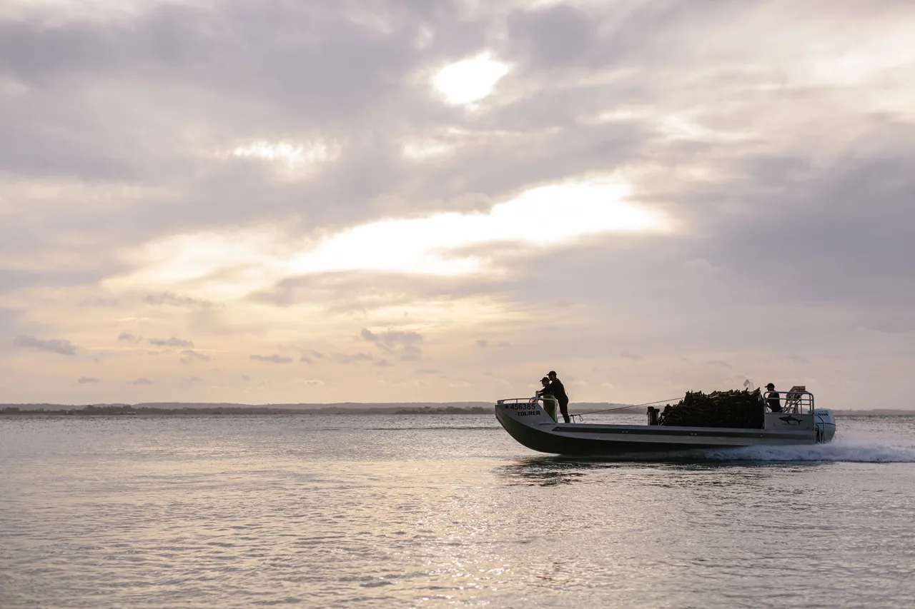 Oyster Punt