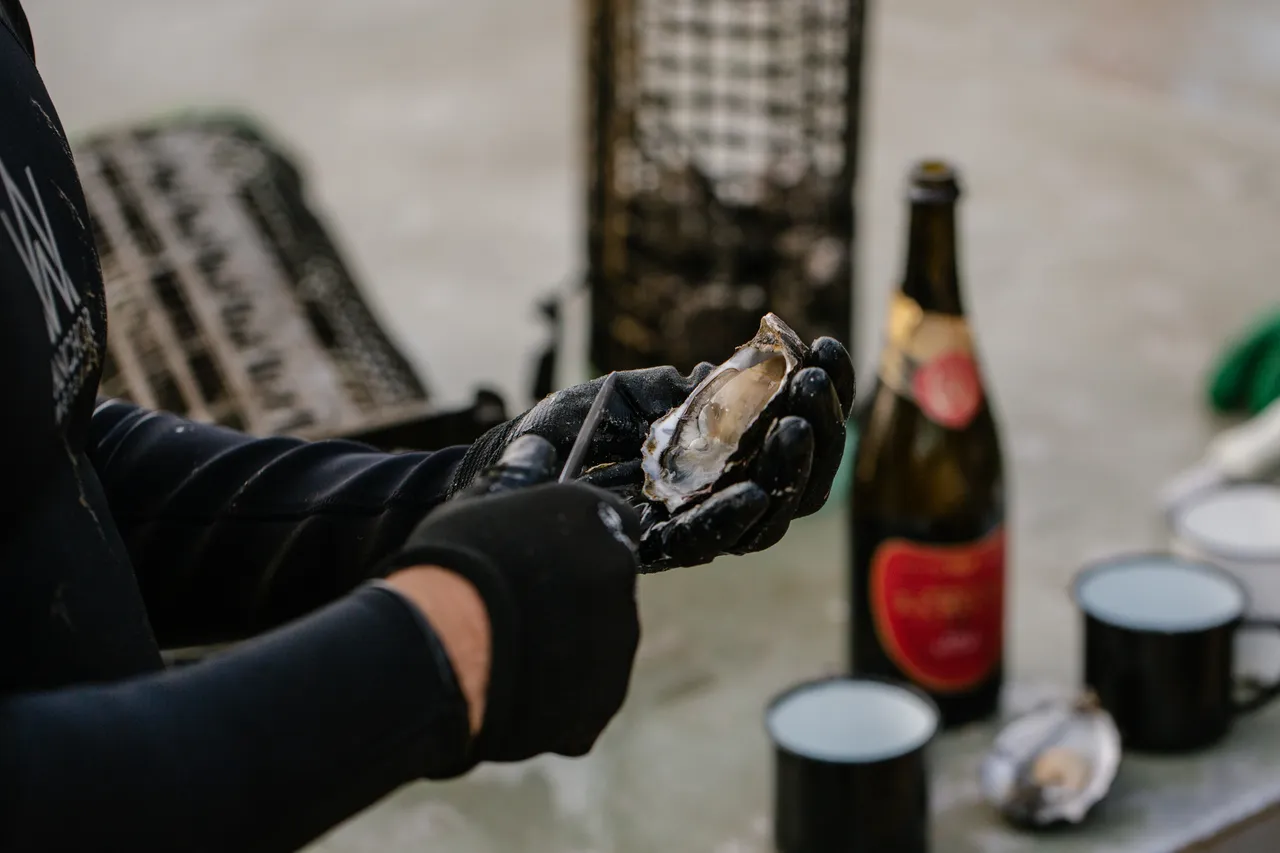 Oyster Shucking
