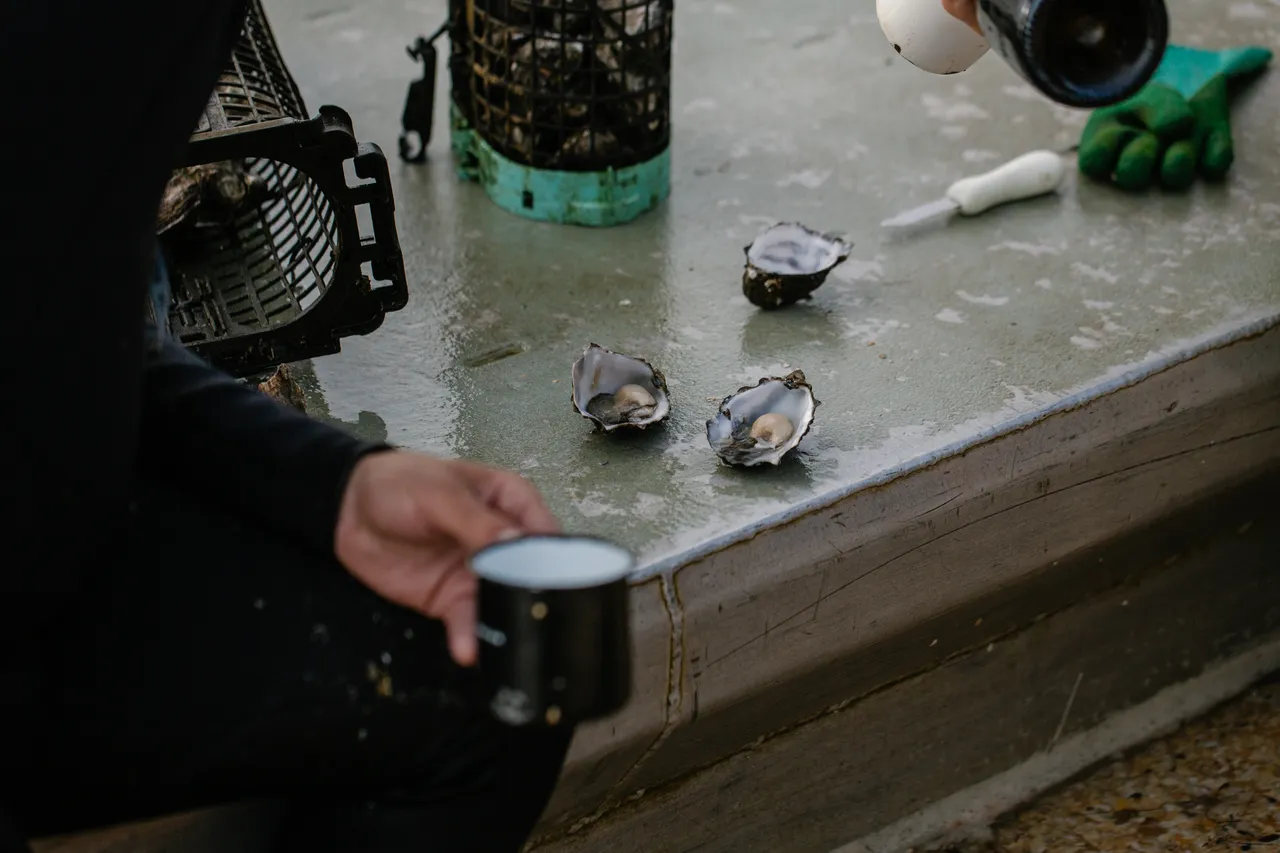 Oyster Shucking