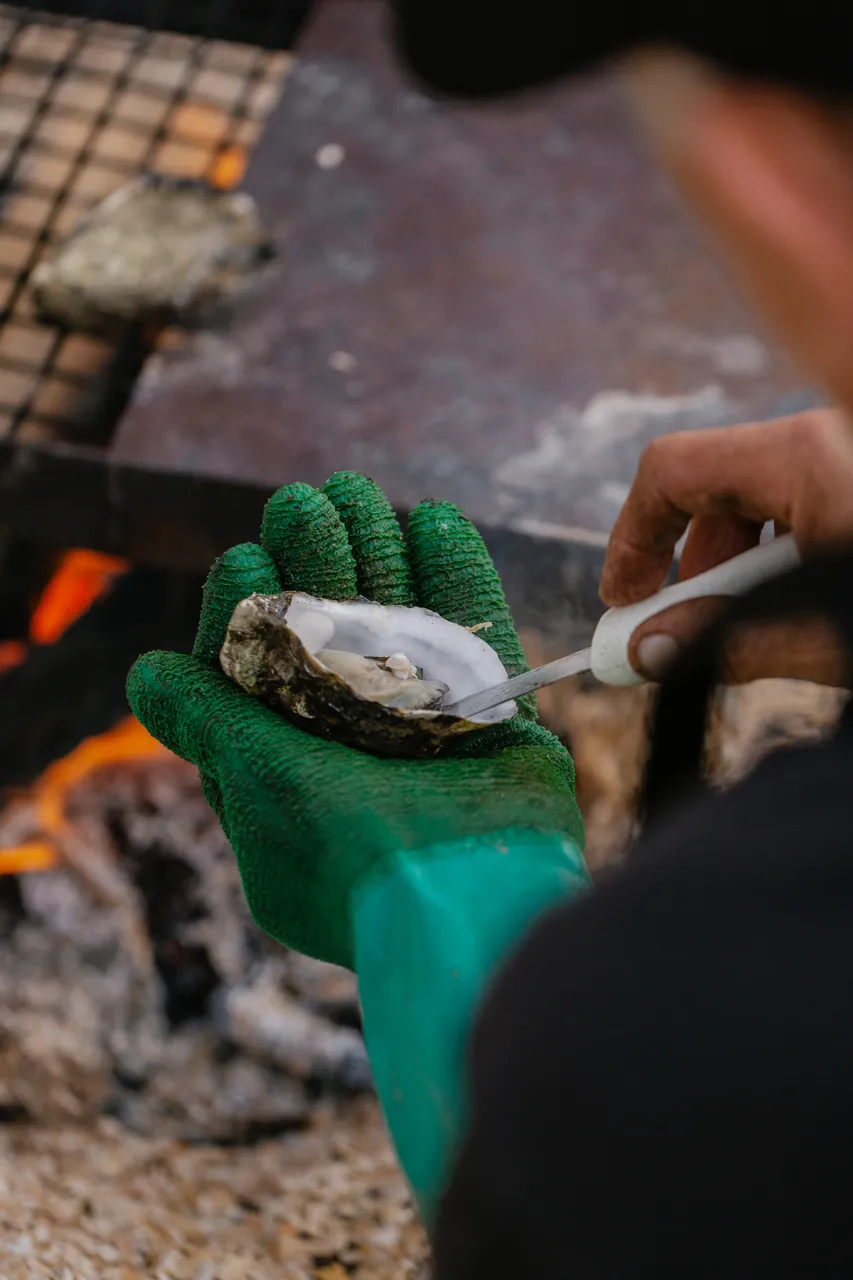 Oyster Shucking