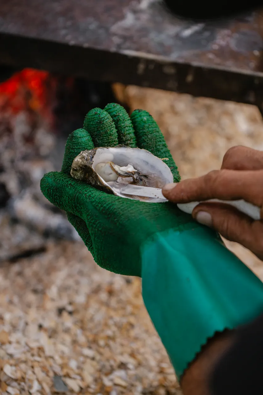 Oyster Shucking