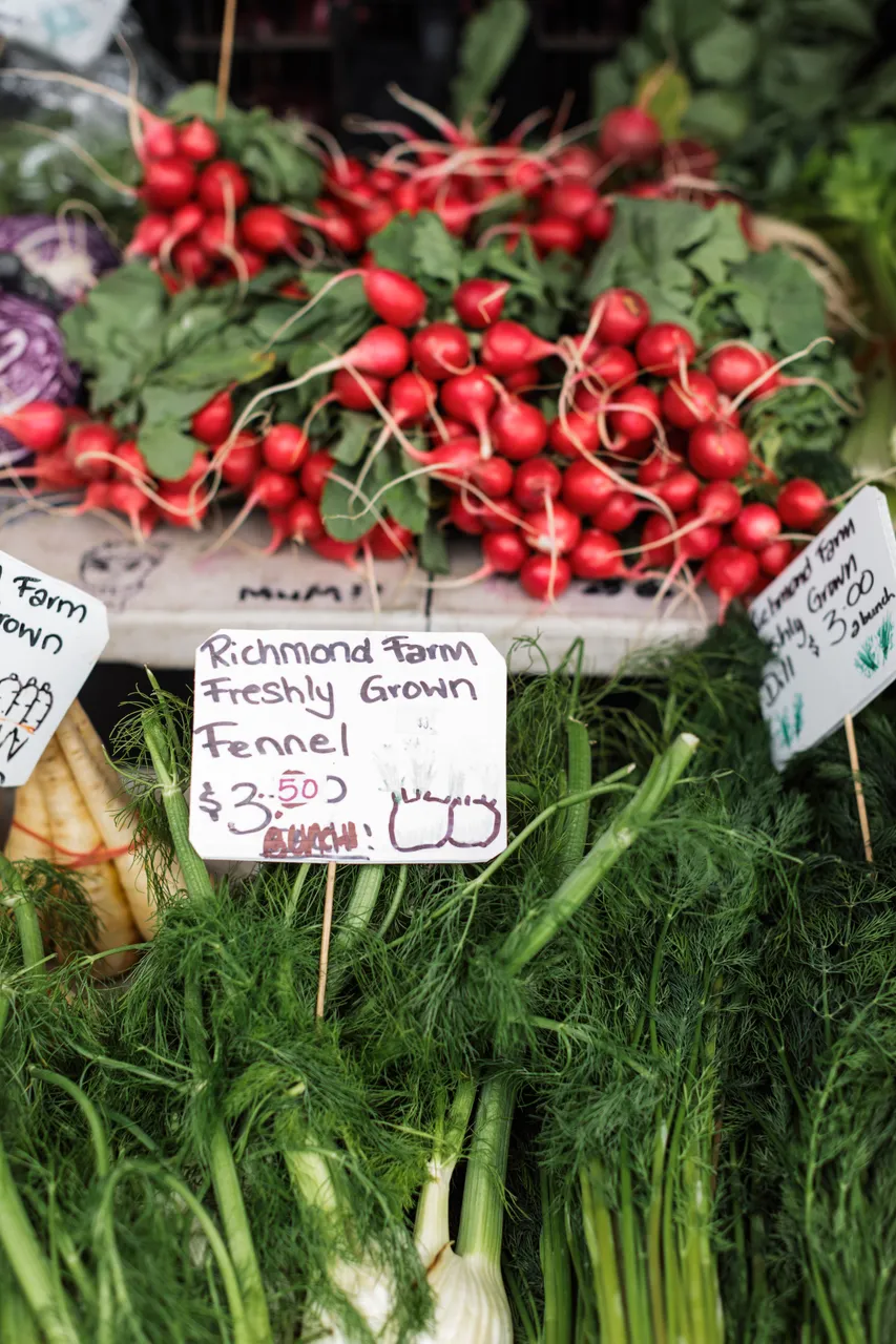 Radishes