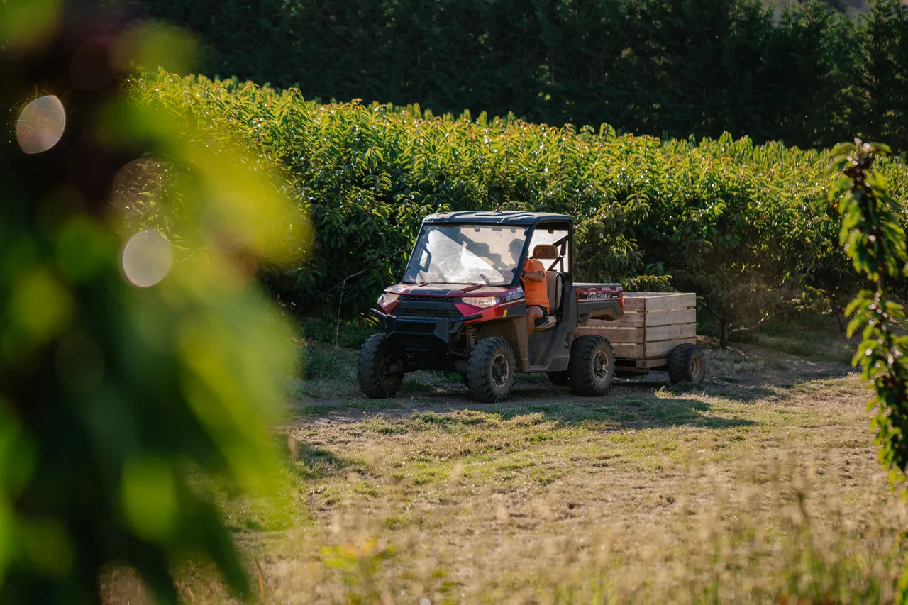 Farm UTV