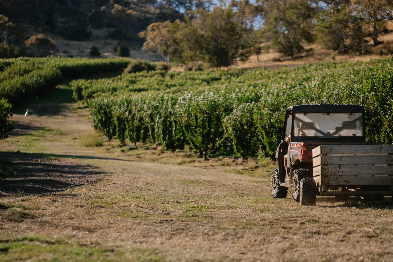 Farm UTV