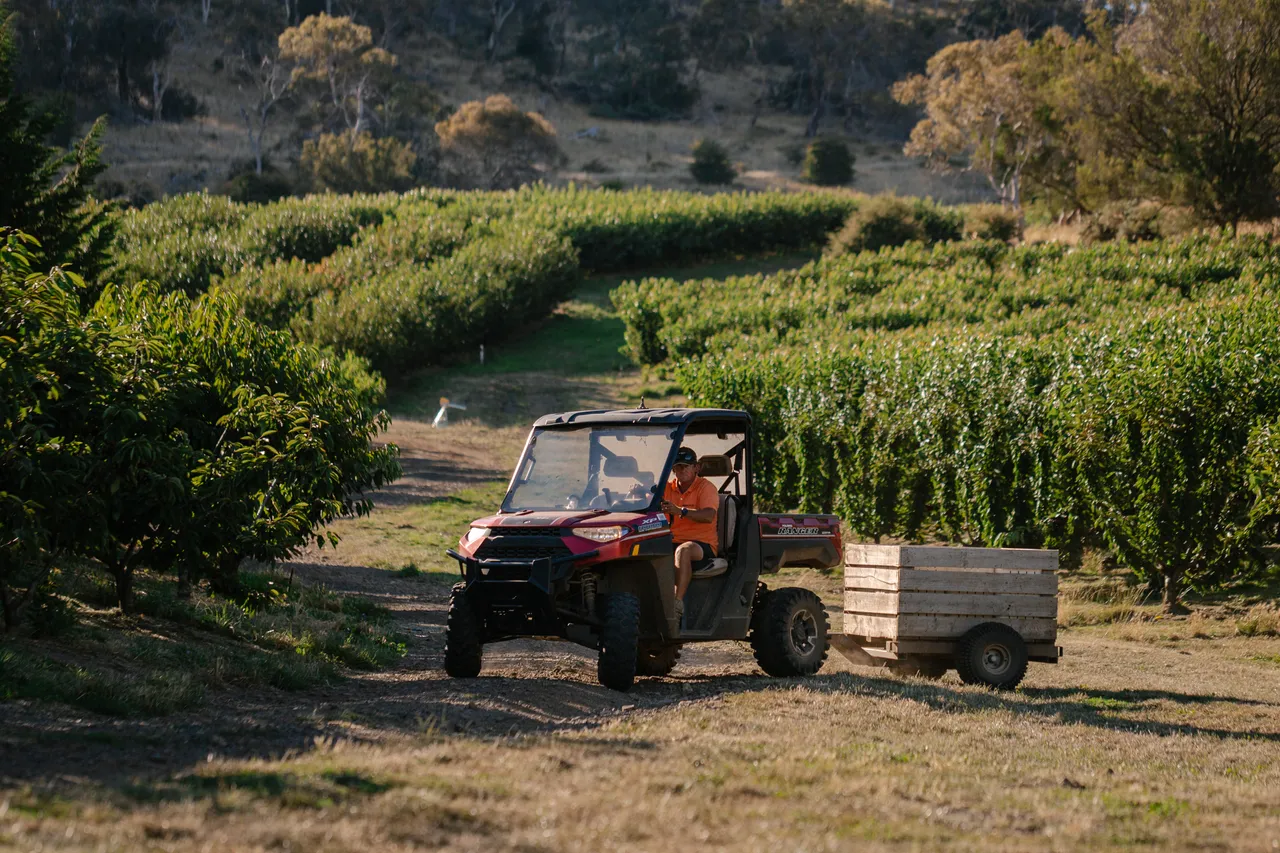 Farm UTV