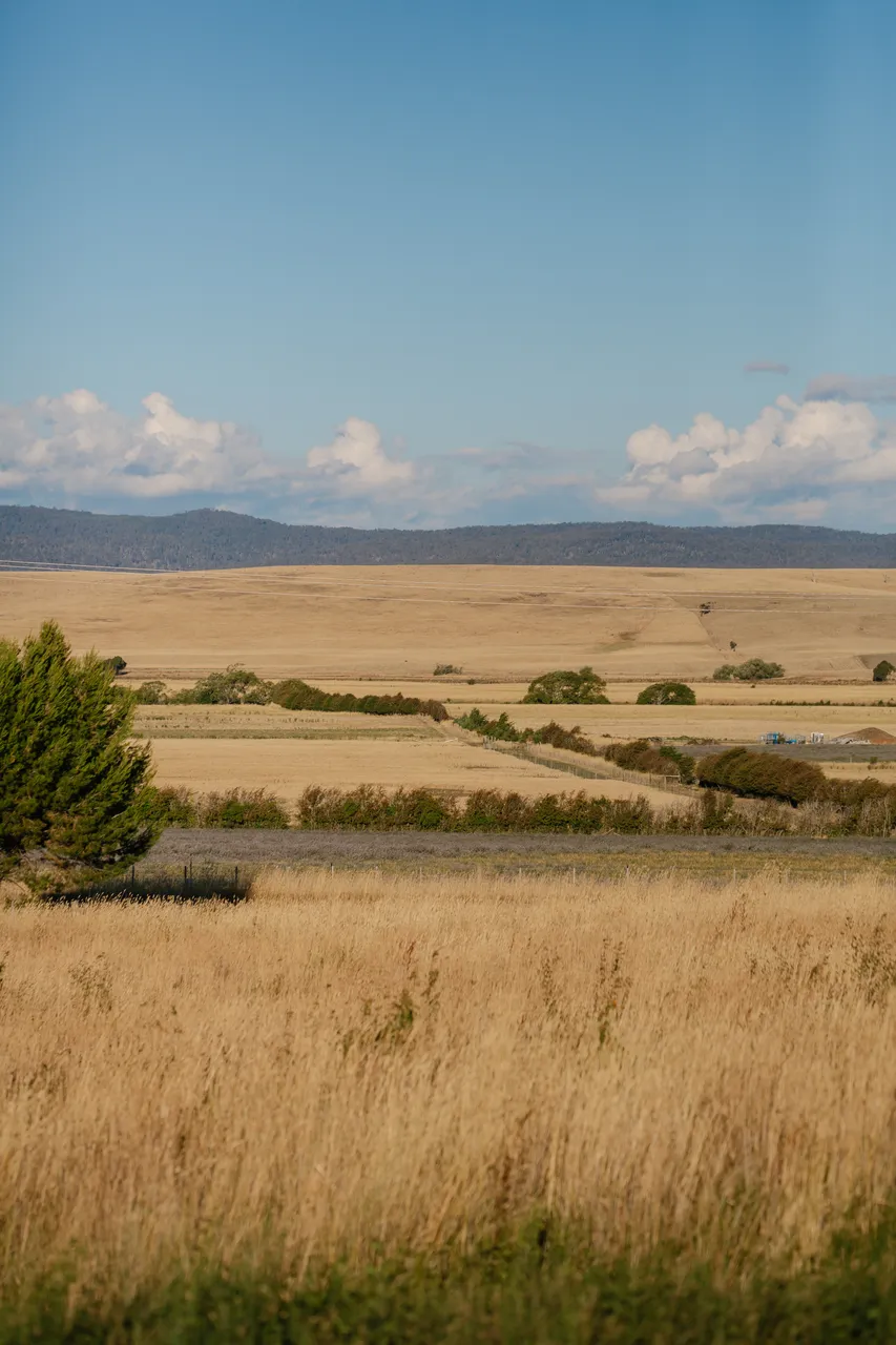 Midlands Farmland