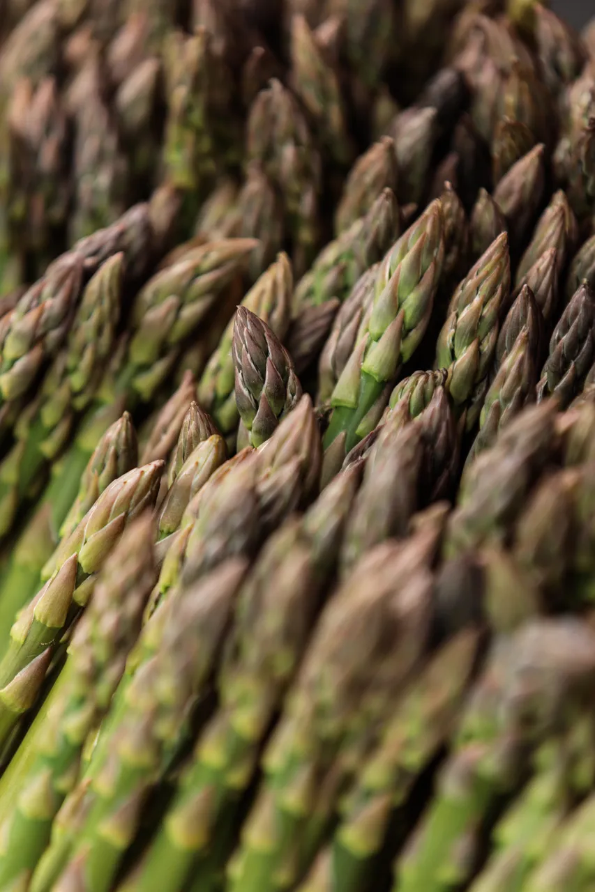 Asparagus