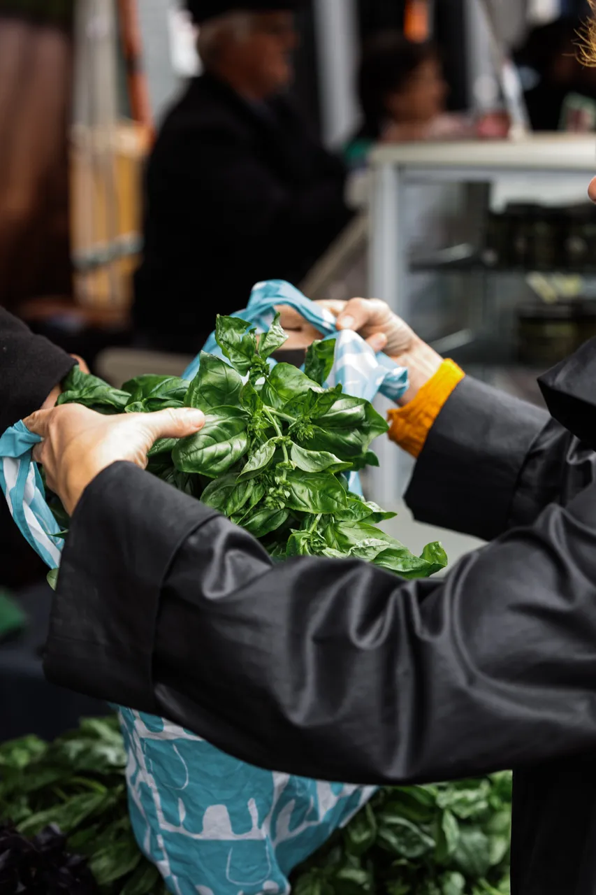 Basil