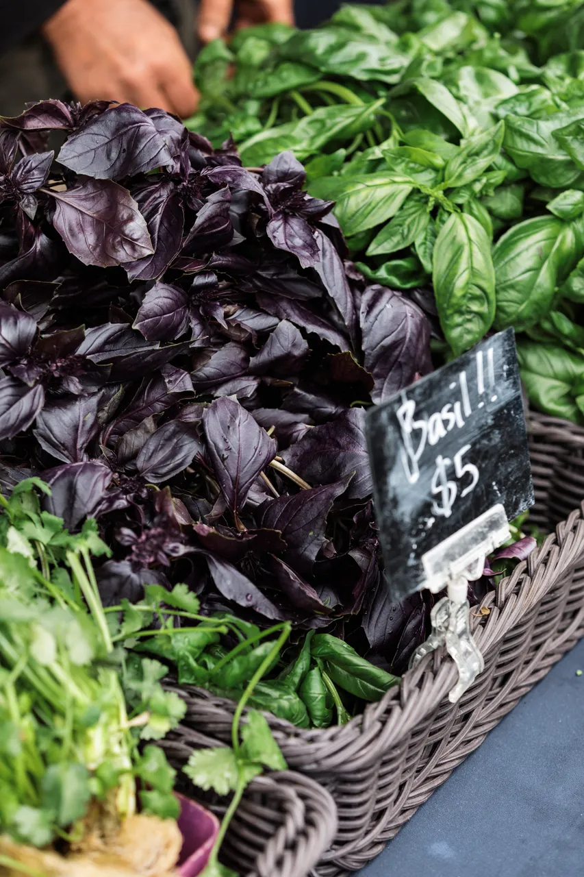 Basil