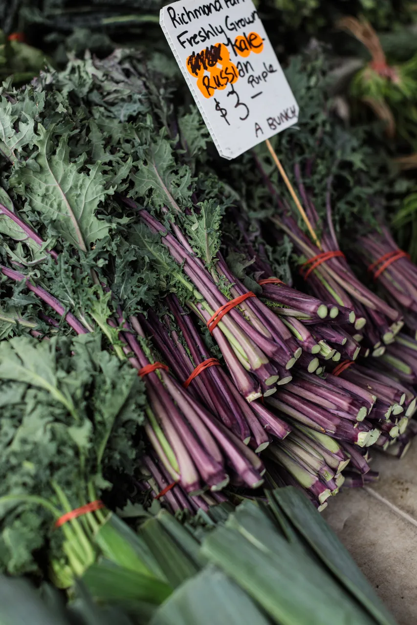 Purple Kale