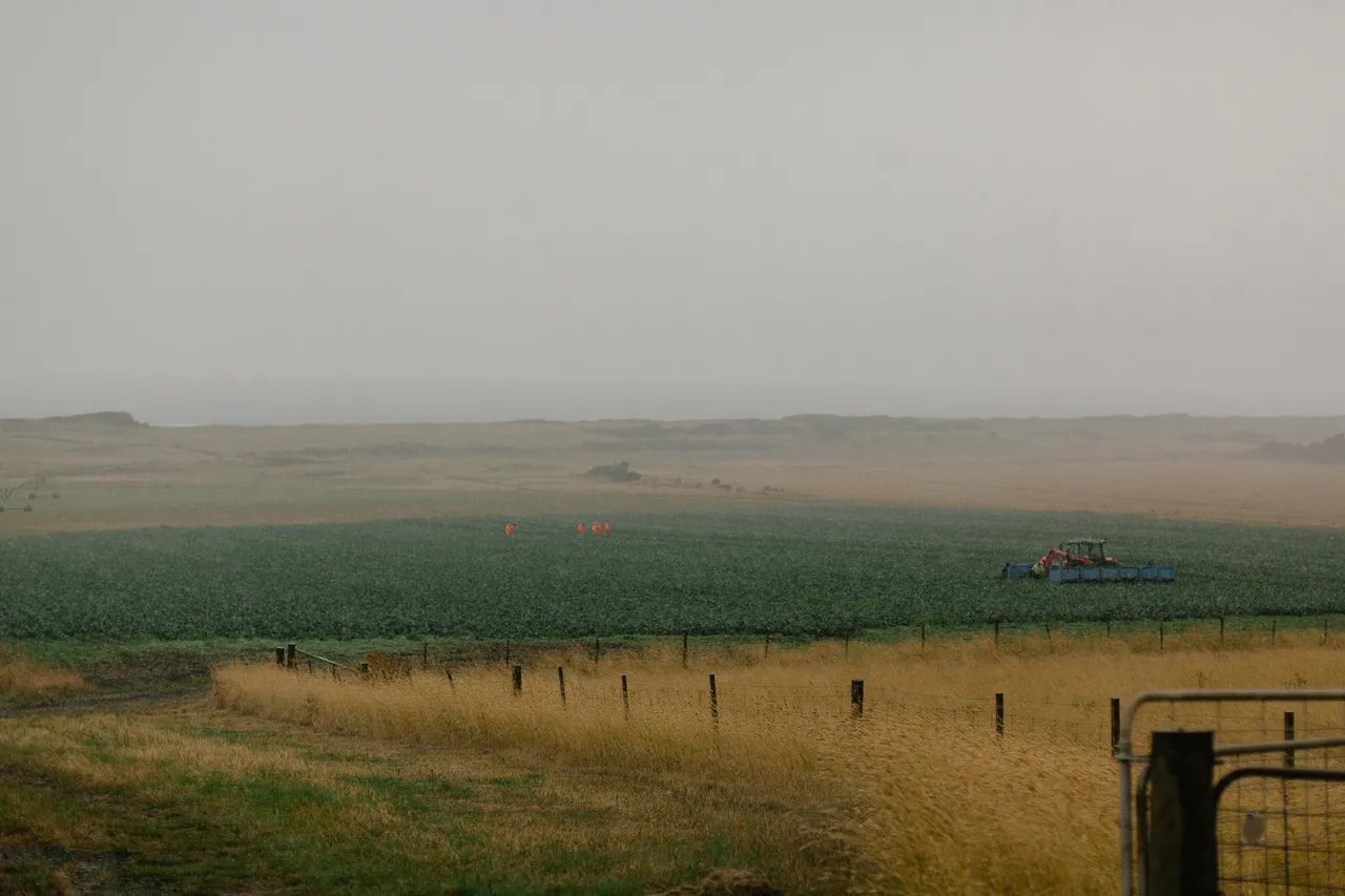 Rainy Day Farmland