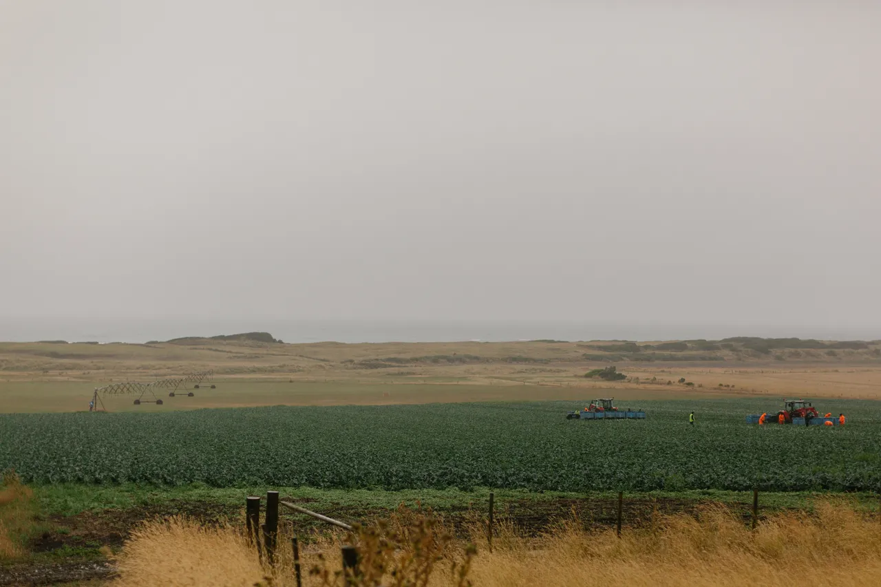Rainy Day Farmland