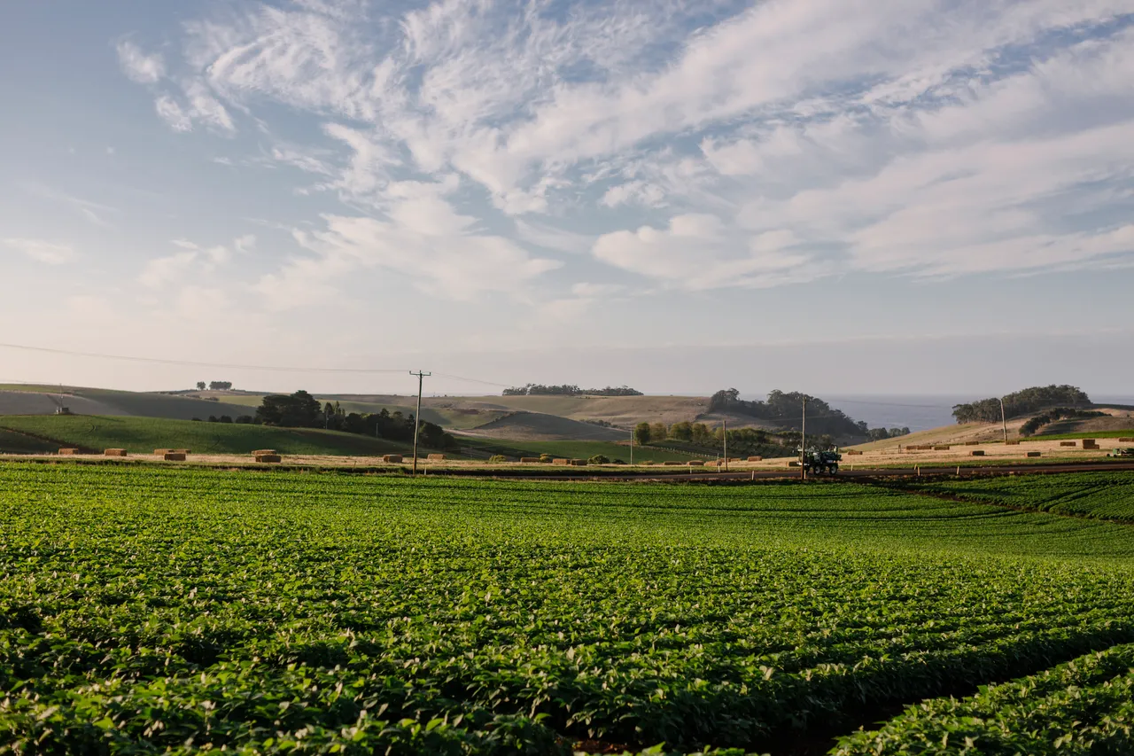 Crops