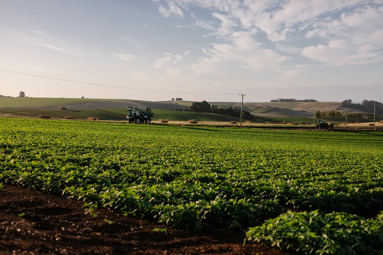 Crops