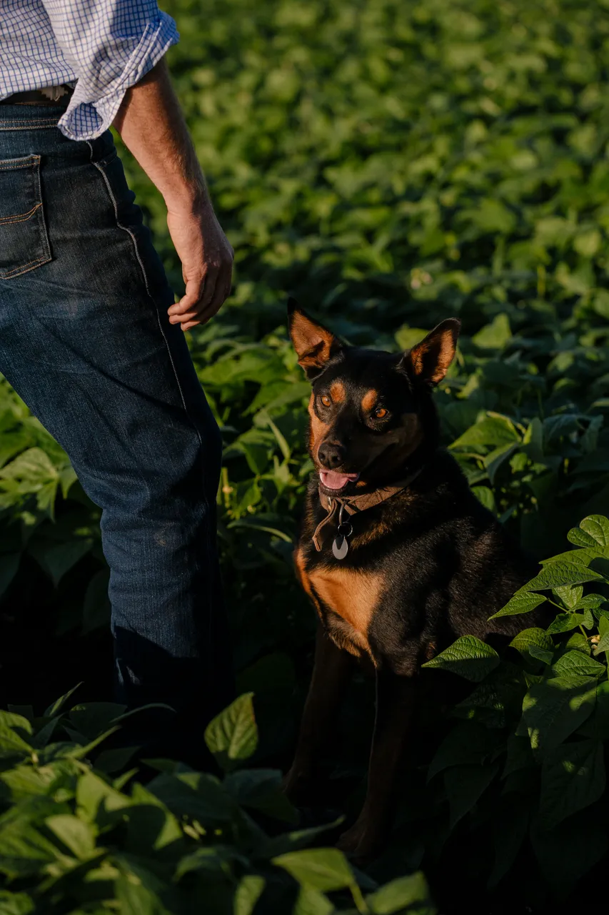 Farmer & Farm Dog