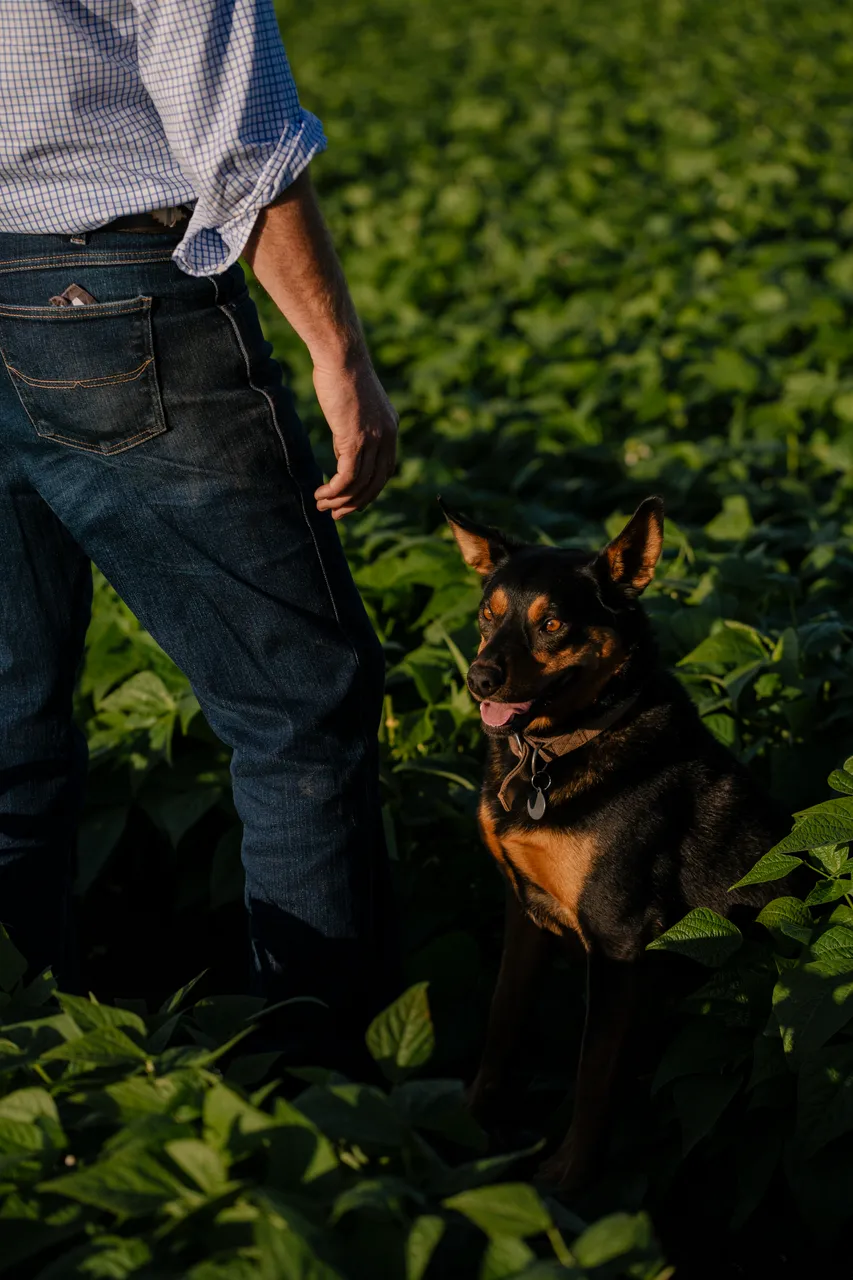 Farmer & Farm Dog
