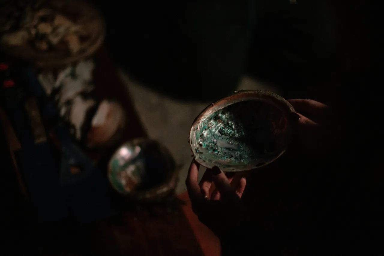 Abalone Shell