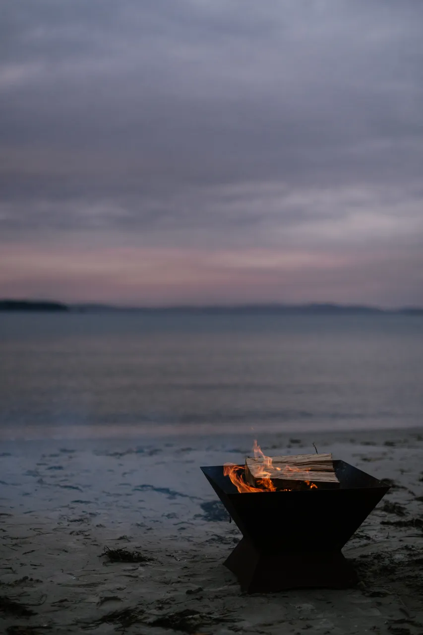 Cooking Abalone on a Campfire