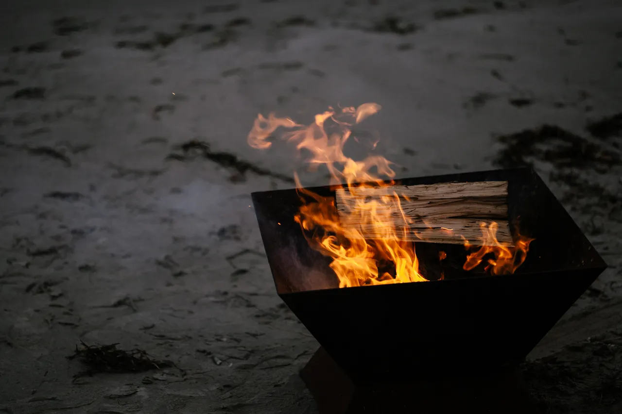 Cooking Abalone on a Campfire