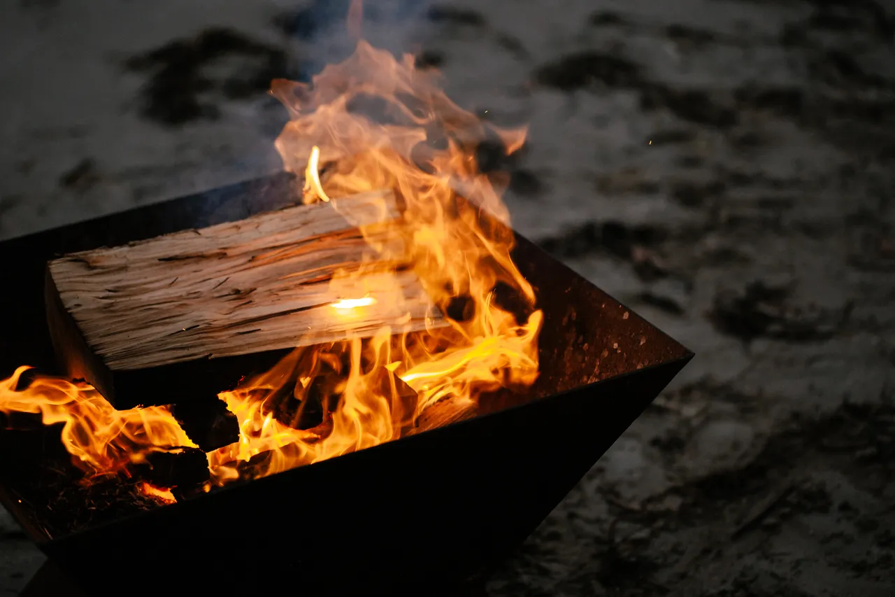 Cooking Abalone on a Campfire