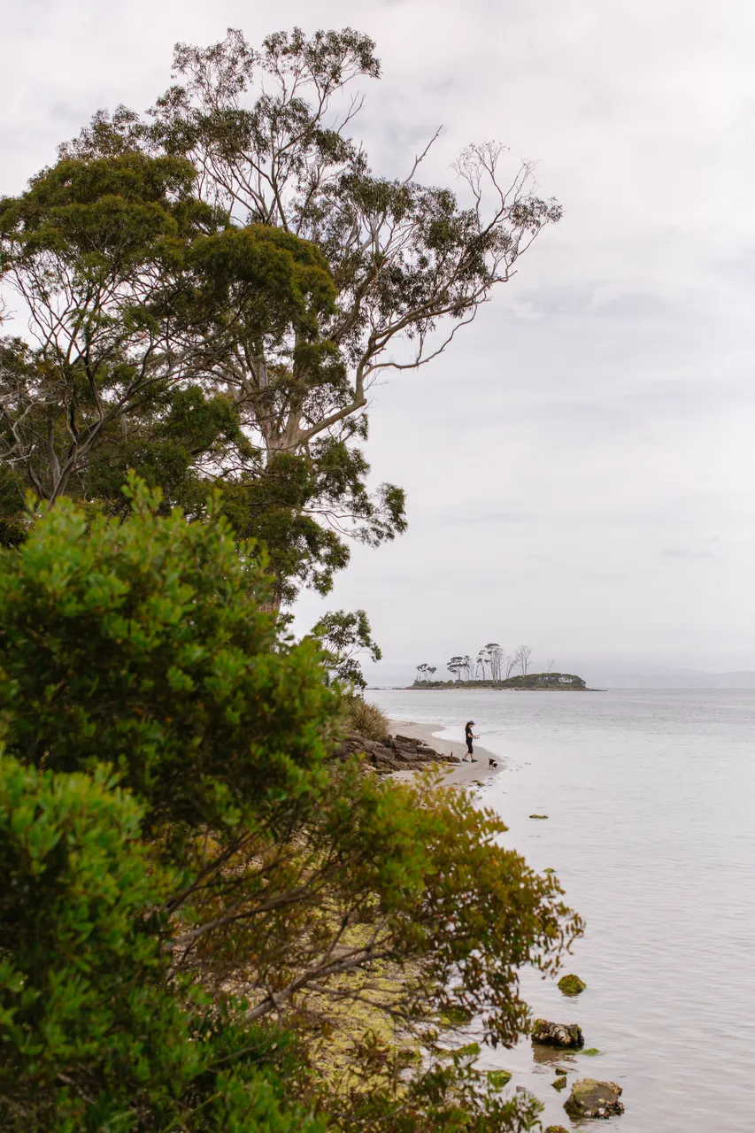 Island