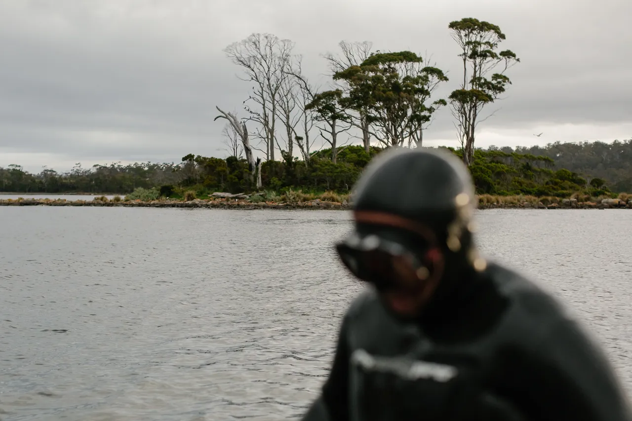 Abalone Diver