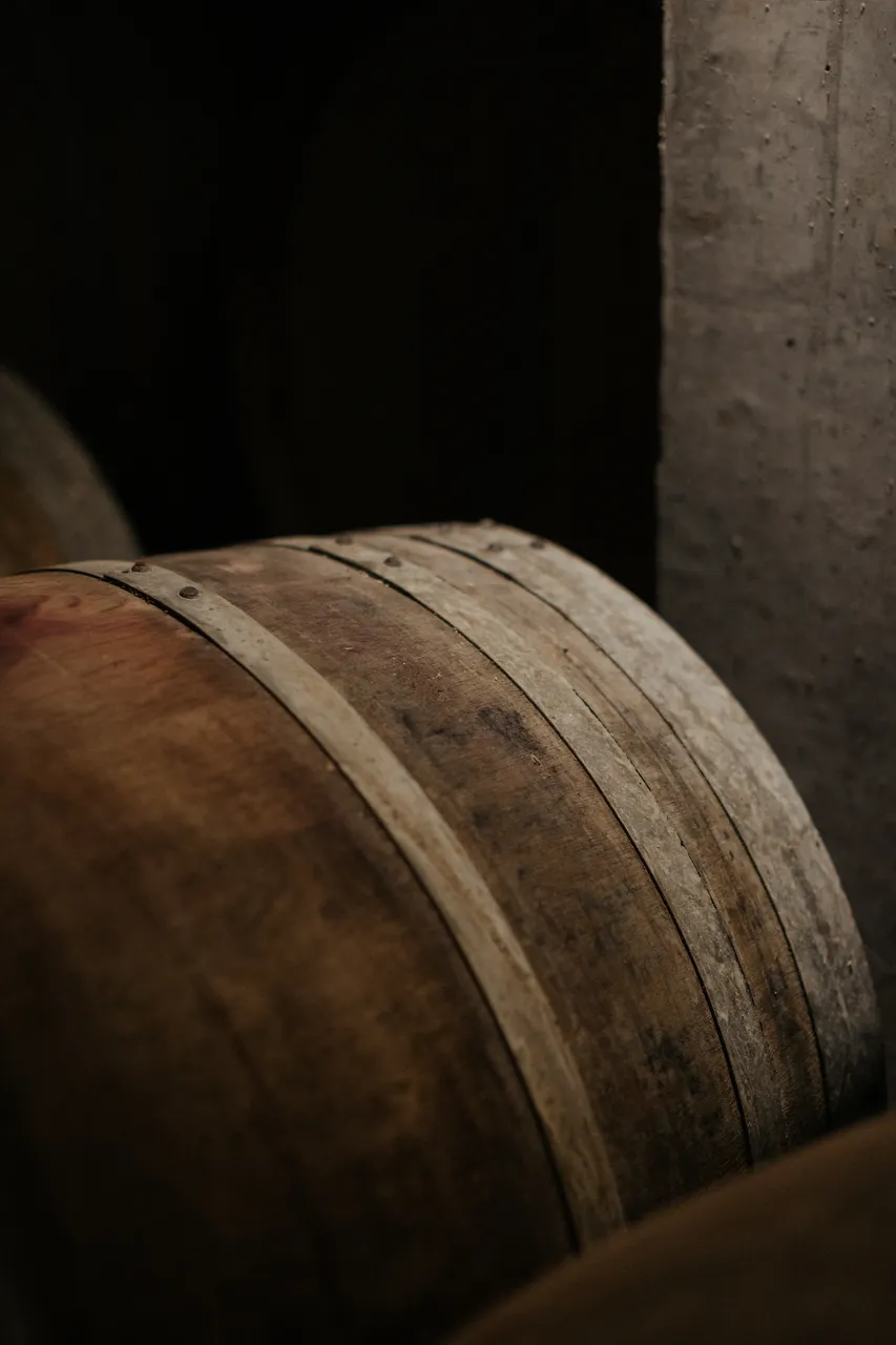 Wine Cellar