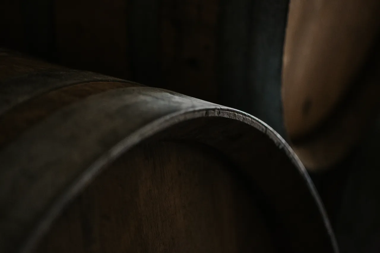 Wine Cellar