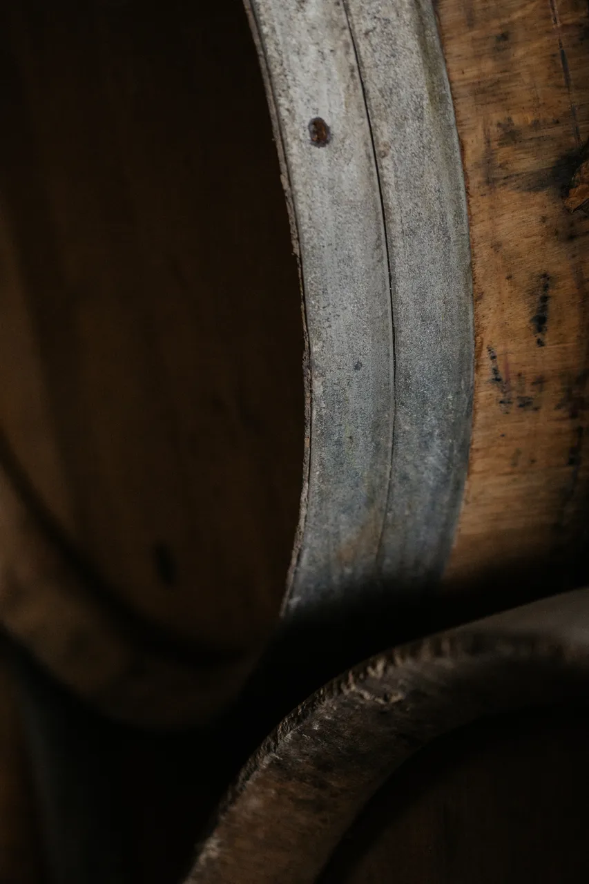 Wine Cellar