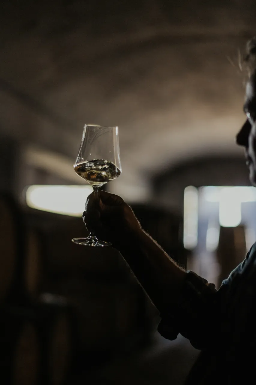 Wine Cellar