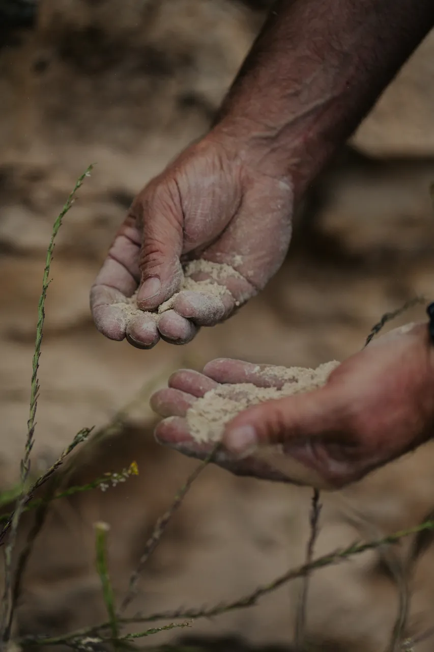 Terra Rossa Soil
