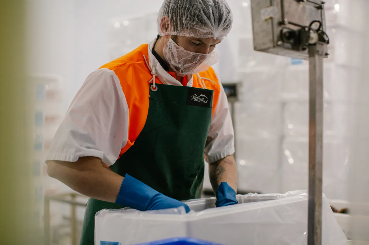 Abalone Processing