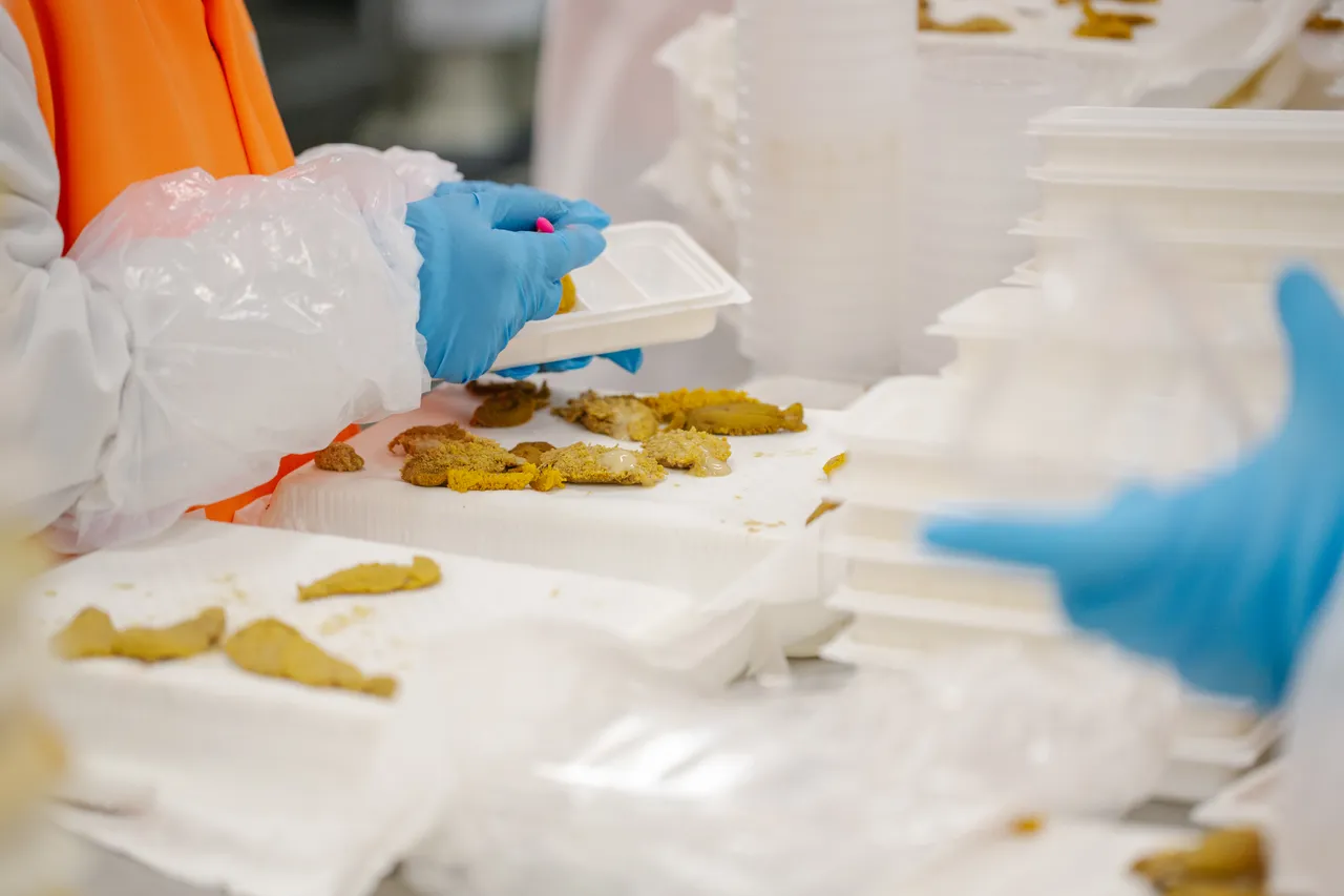 Sea Urchin Processing