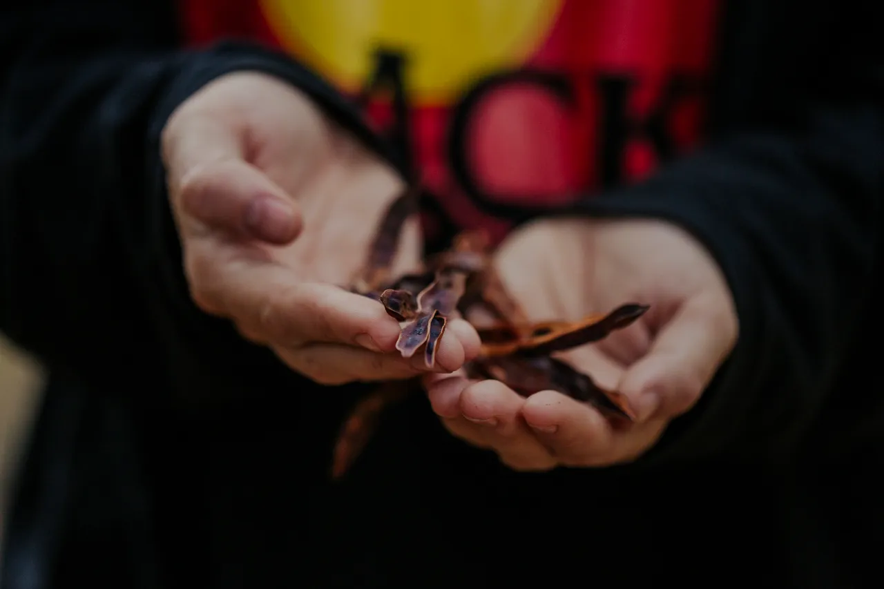 Palawa Kipli Foraging