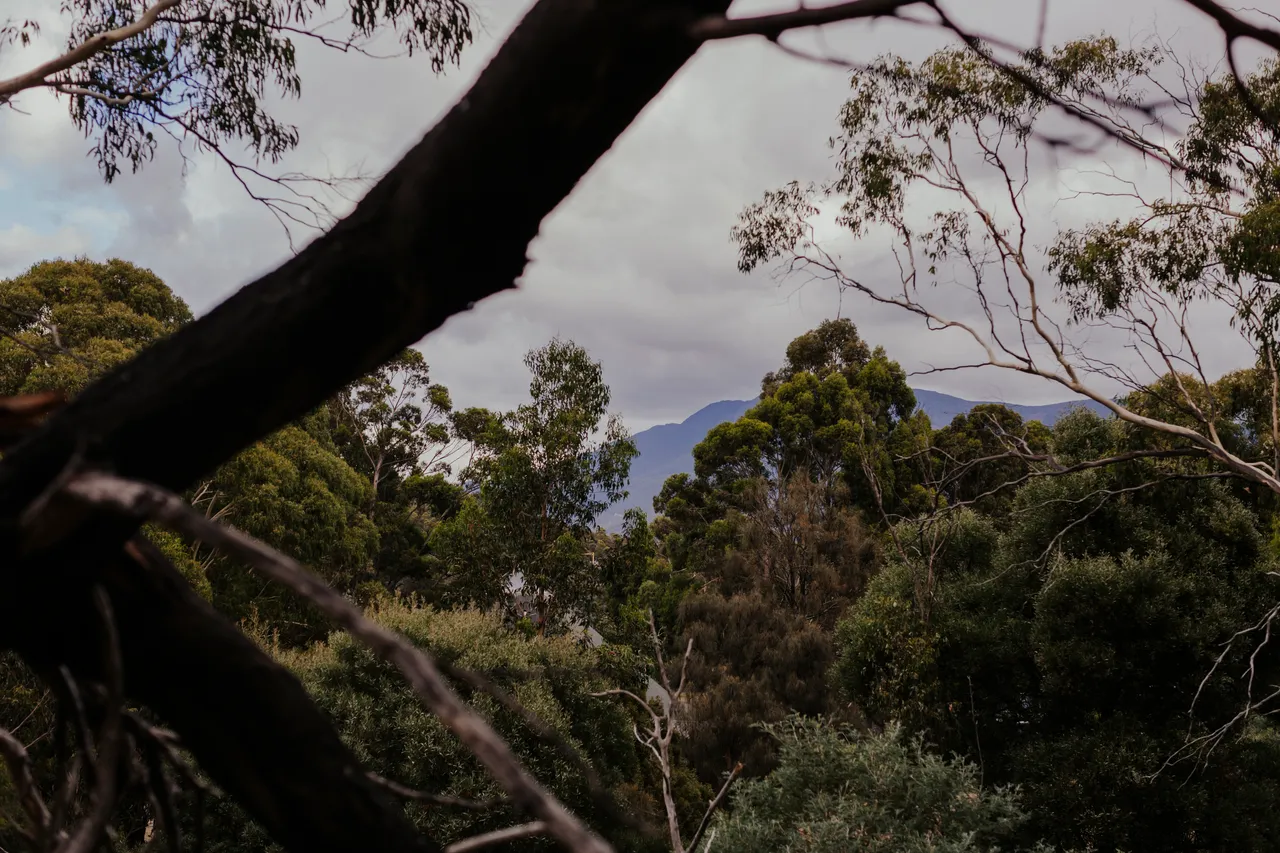 kunanyi / Mount Wellington