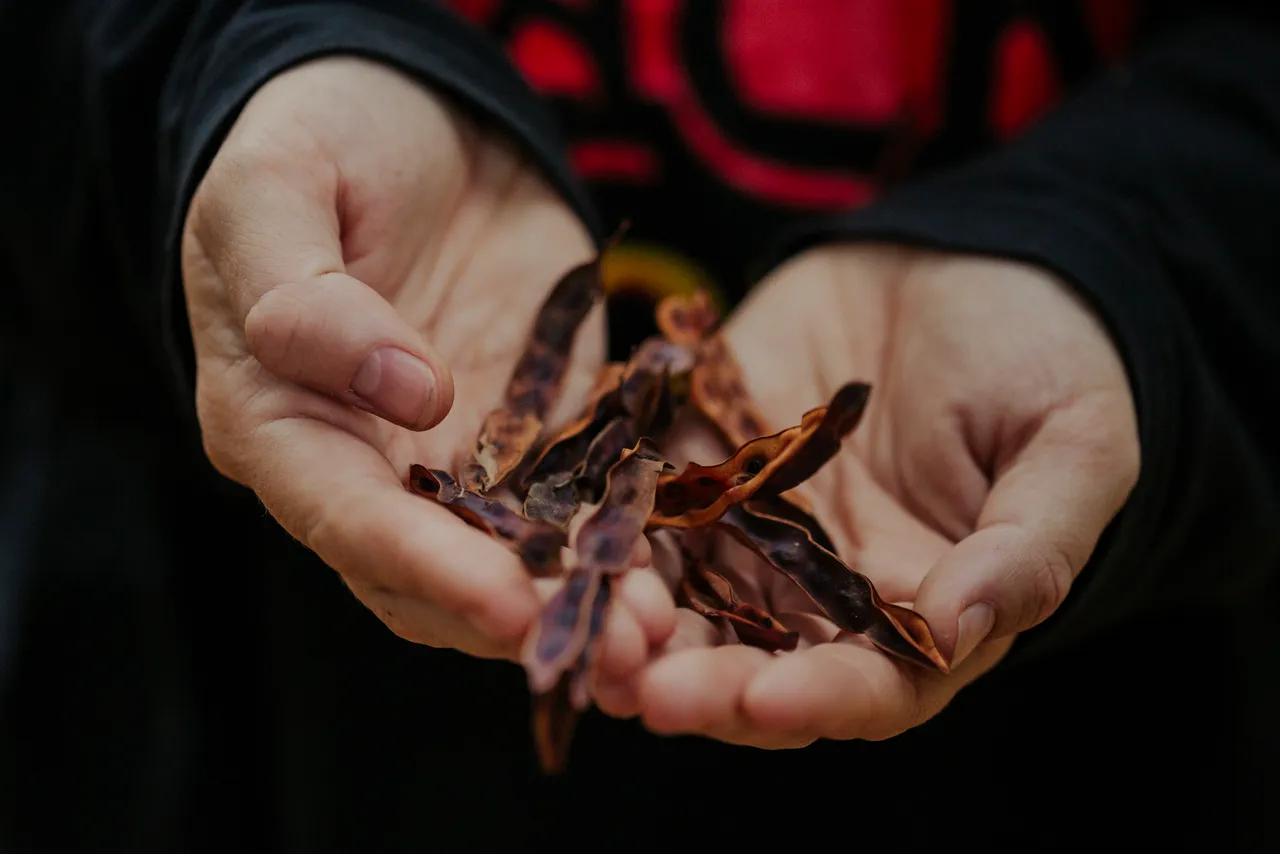 Palawa Kipli Foraging