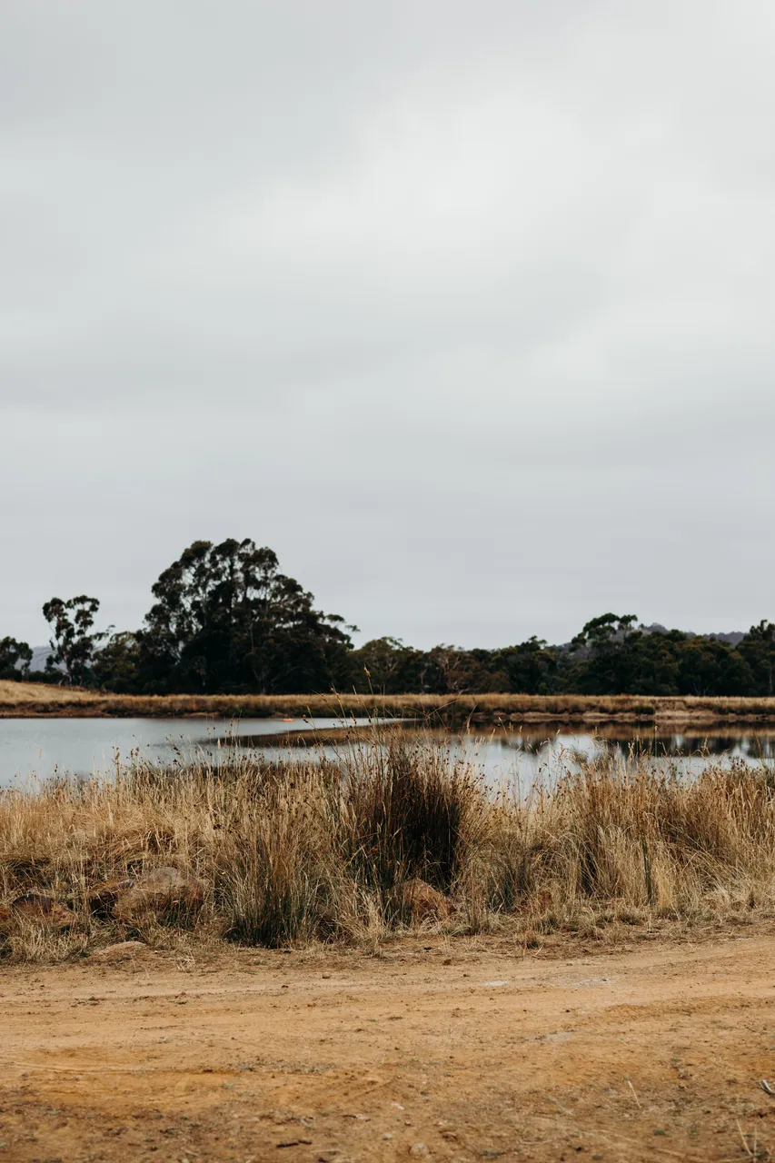 Farmland