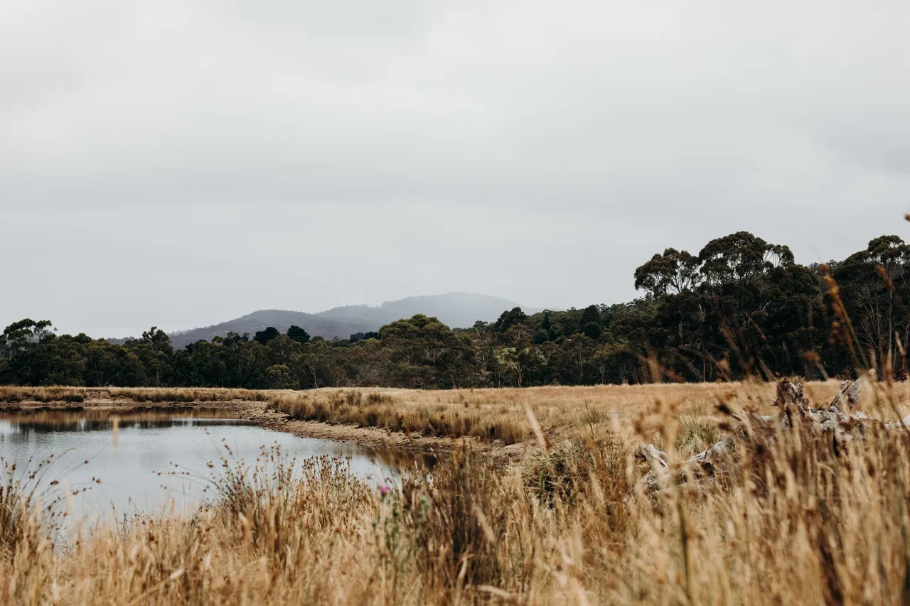 Farmland