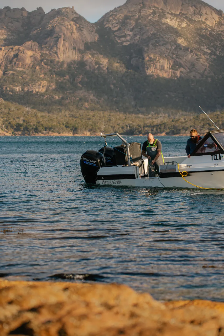 Coles Bay Coast