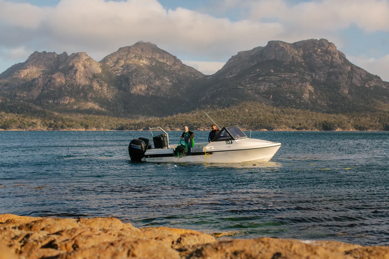 Coles Bay Coast