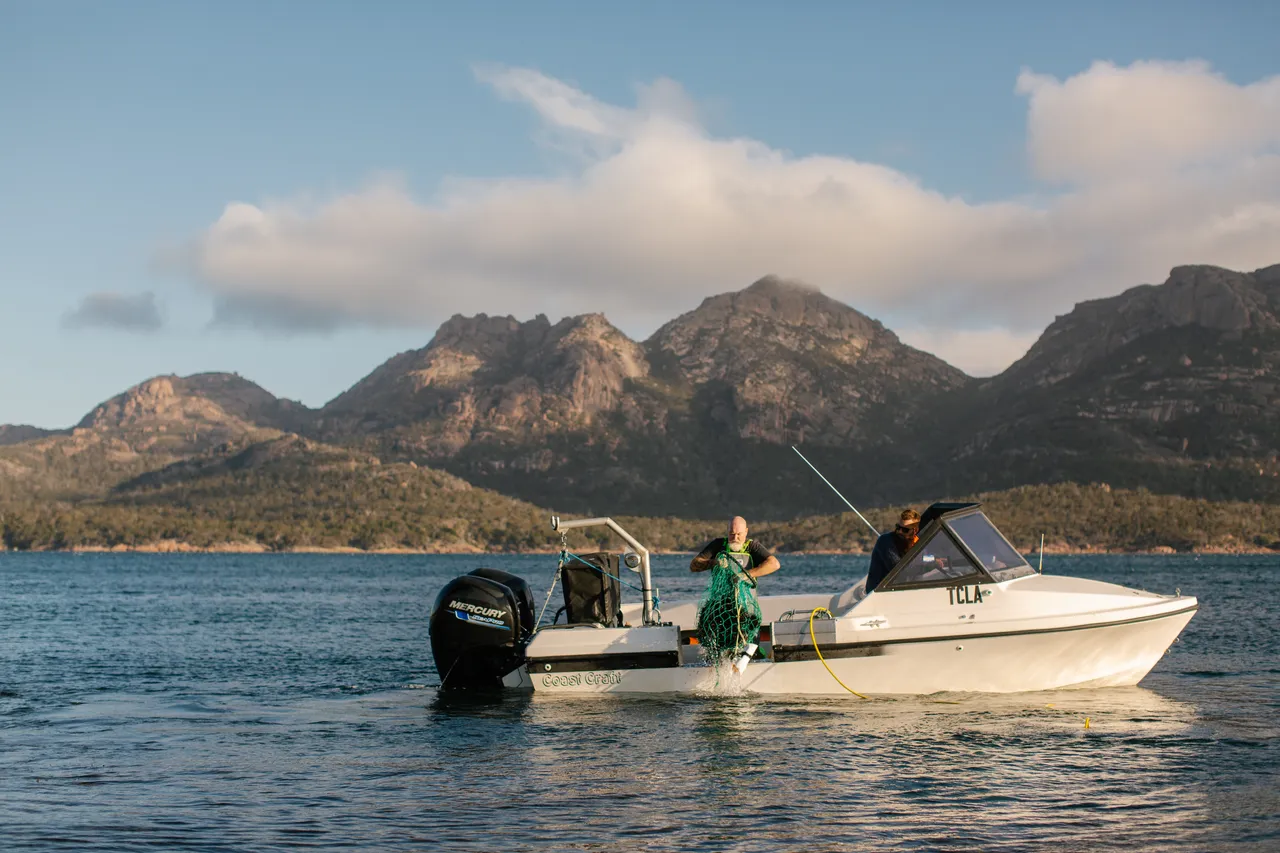 Coles Bay Coast