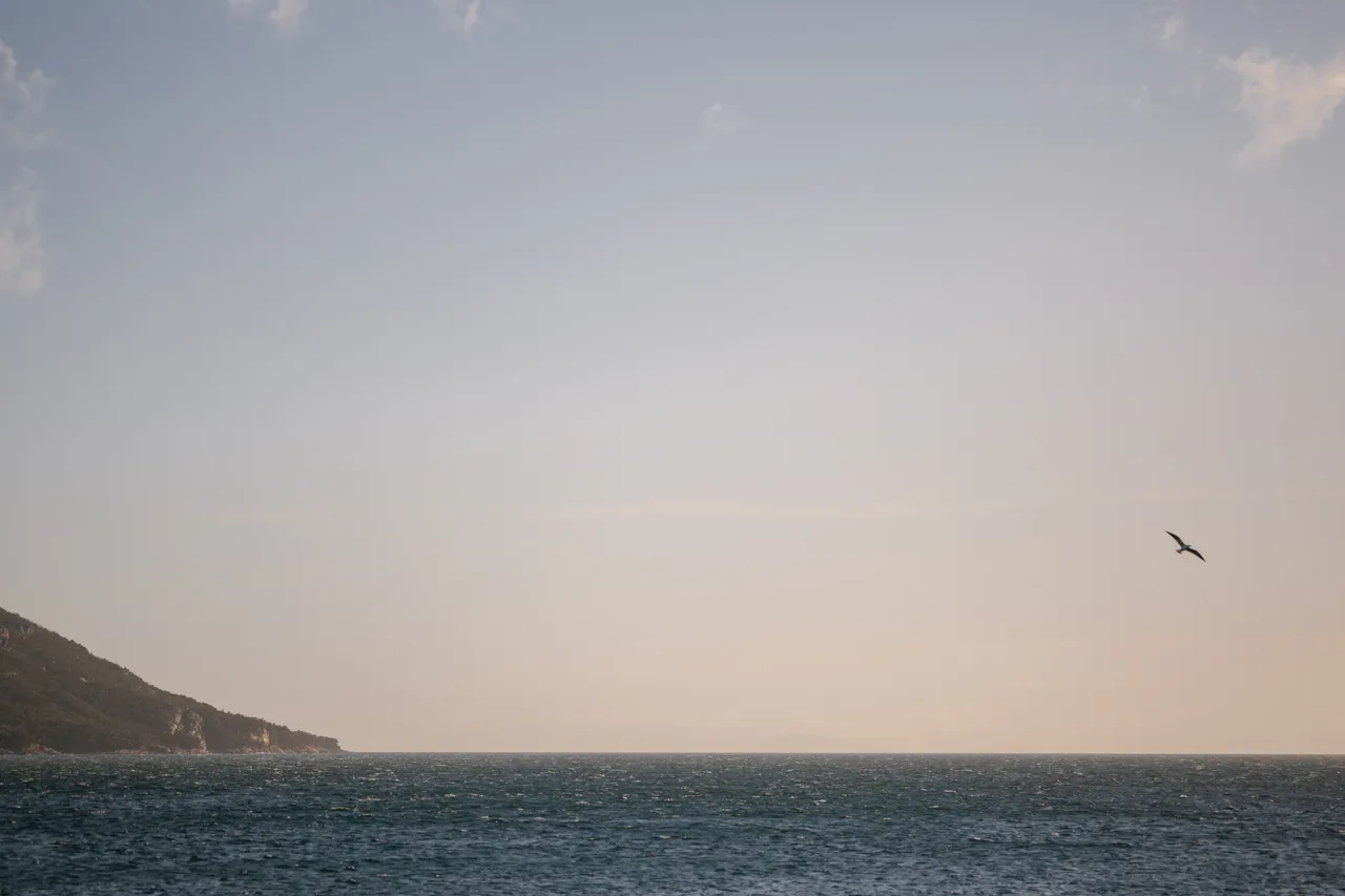 Coles Bay Coast
