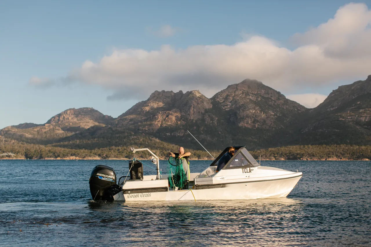 Coles Bay Coast