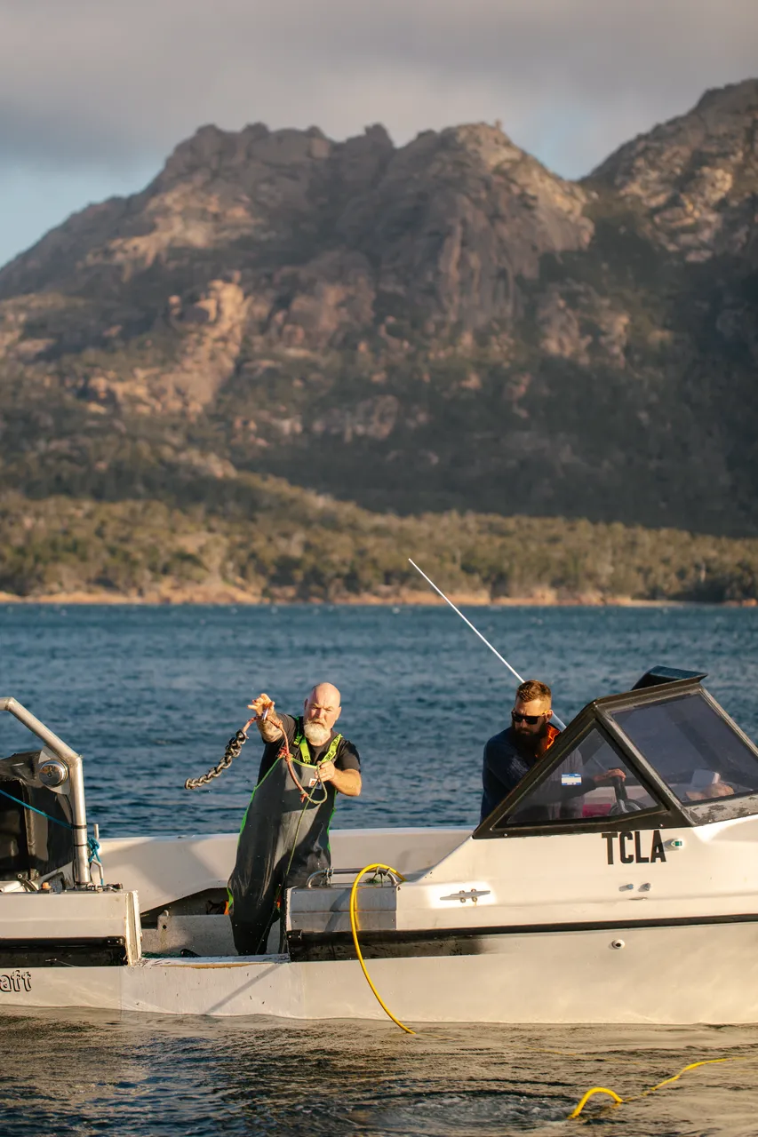 Coles Bay Coast