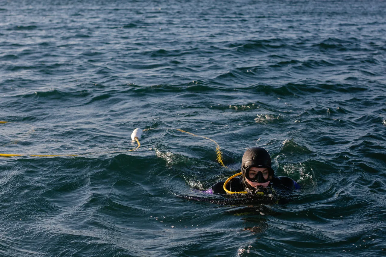 Urchin Diver