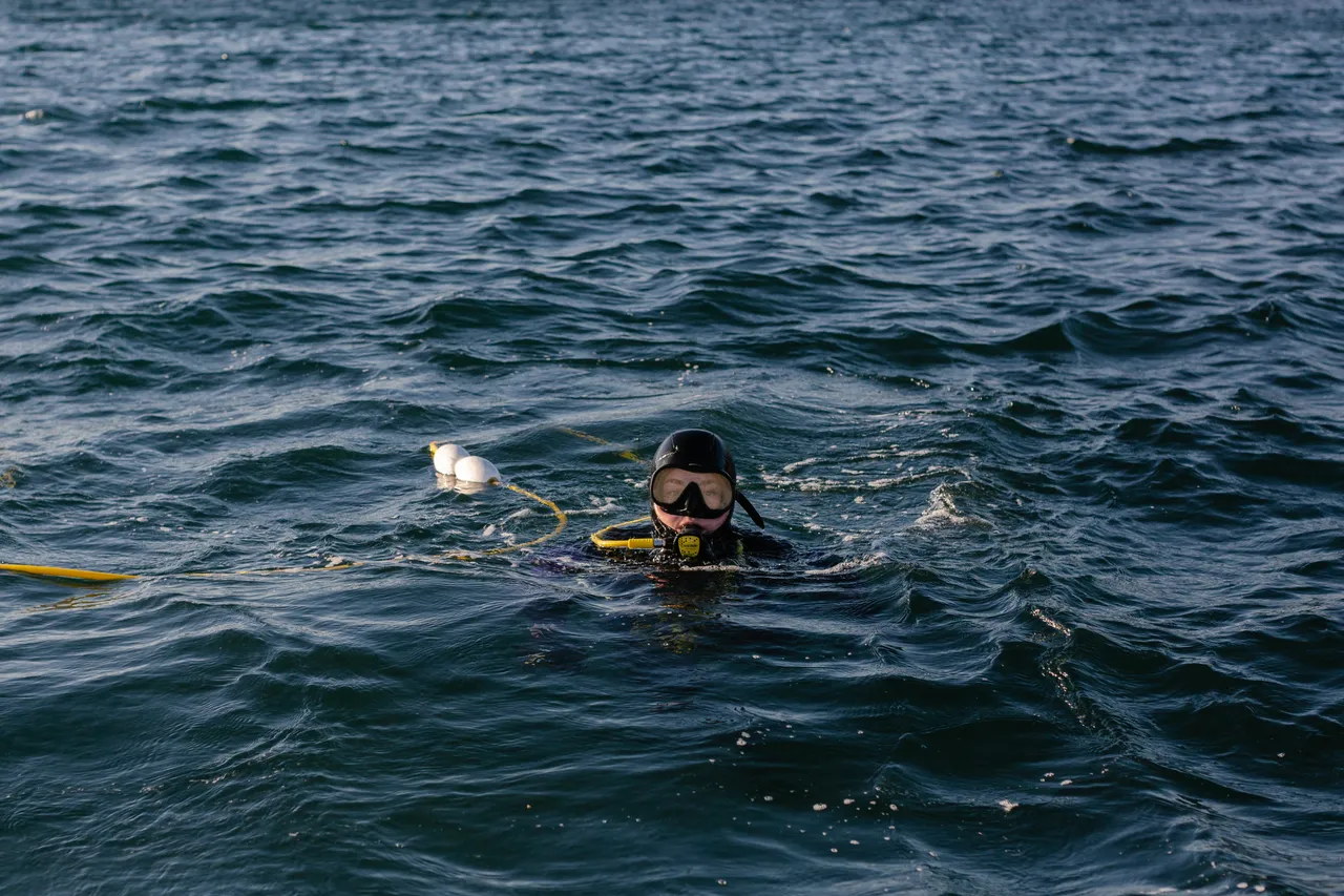 Urchin Diver