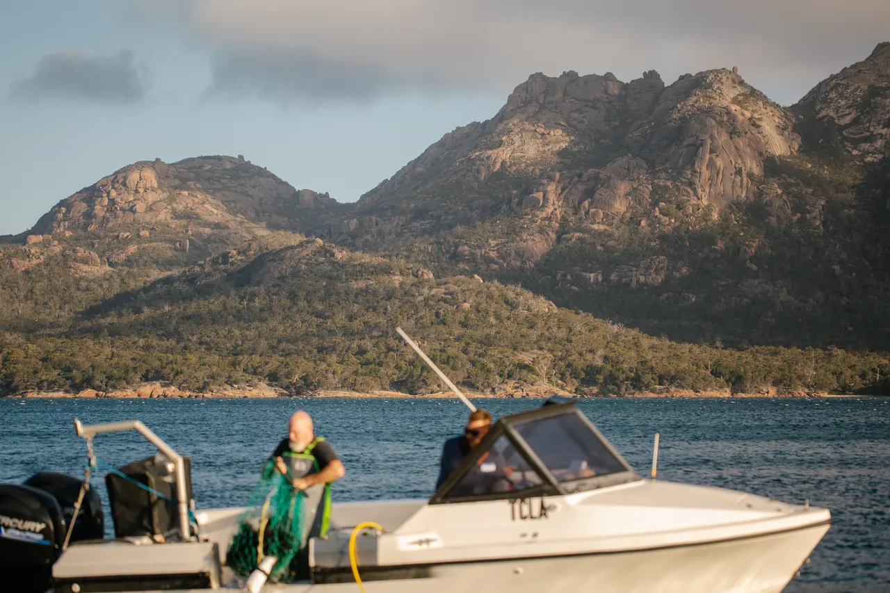Coles Bay Coast